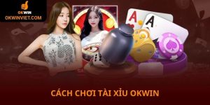 Cách chơi tài xỉu vui và luôn thắng tại liên minh Okwin