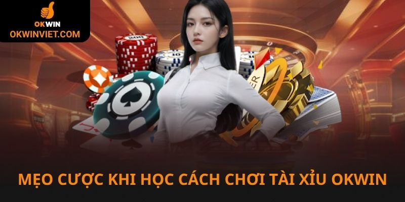 Mẹo chơi hiệu quả trong cách chơi tài xỉu tại liên minh Okwin