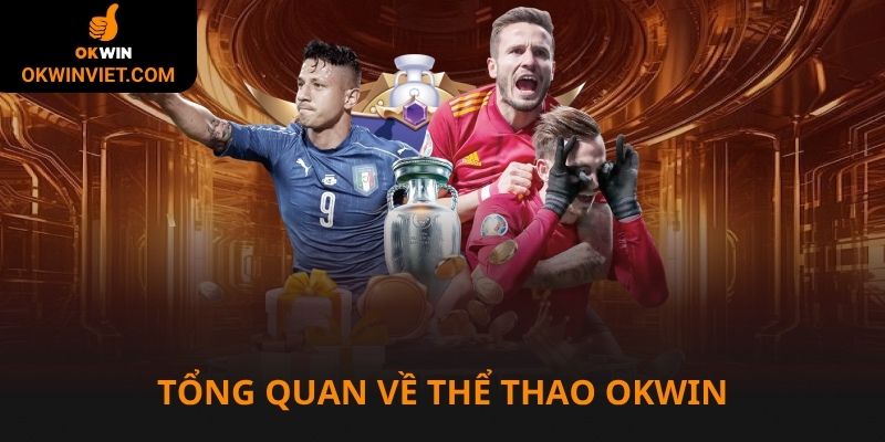 Tổng quan về thể thao Okwin